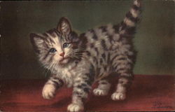 Gray Striped Kitten Cats Postcard Postcard