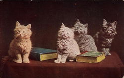 Stock #267975 Thumbnail