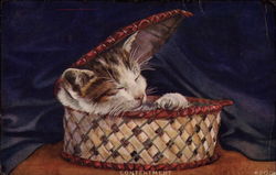 Contentment - Kitten in a Basket Postcard
