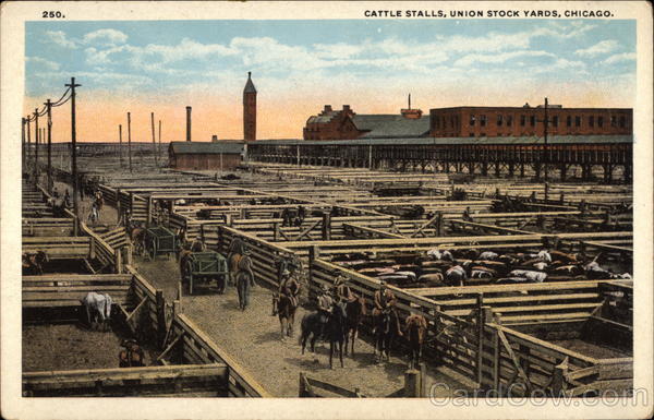 Cattle Stalls, Union Stock Yards Chicago Illinois