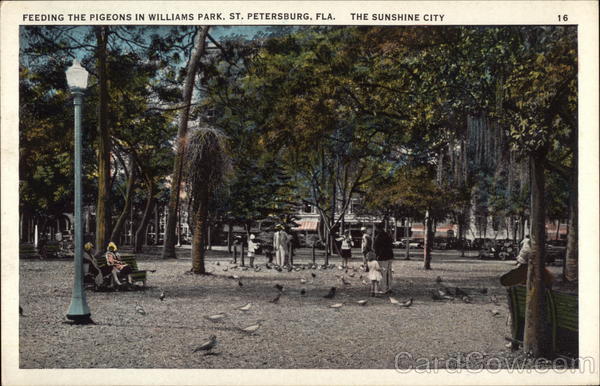 Feeding the Pigeons in Williams Park, the Sunshine City St. Petersburg Florida