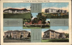 A Group of Schools Postcard