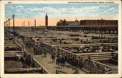 Cattle Stalls, Union Stock Yards Postcard
