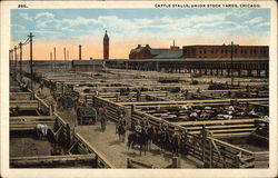 Cattle Stalls, Union Stock Yards Chicago, IL Postcard Postcard
