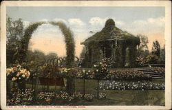 View in the Gardens, Elizabeth Park Hartford, CT Postcard Postcard