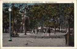 Feeding the Pigeons in Williams Park, the Sunshine City Postcard
