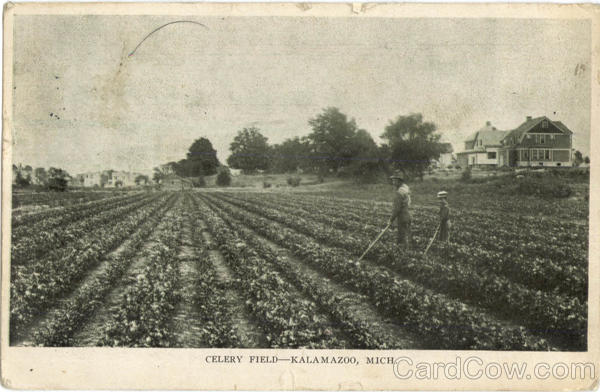 Celery Field Kalamazoo Michigan
