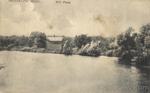 Mill Pond Brooklyn Michigan