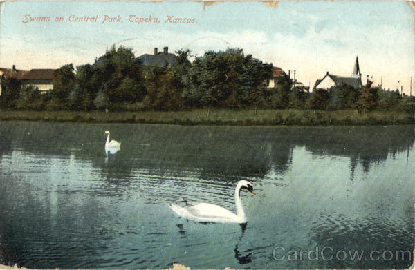 Swans on Central Park Topeka Kansas