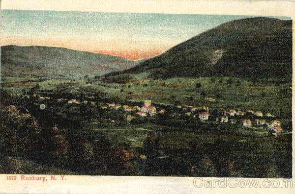 View of Roxbury New York