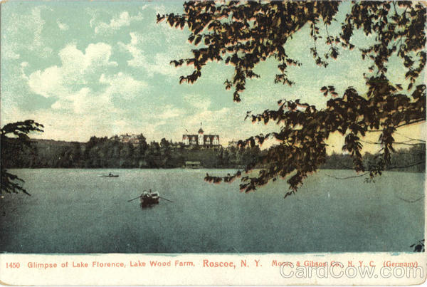 Glimpse of Lake Florence, Lake Wood Farm Roscoe New York