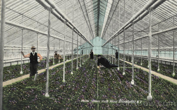 Vonder Lindens Violet House Rhinebeck New York