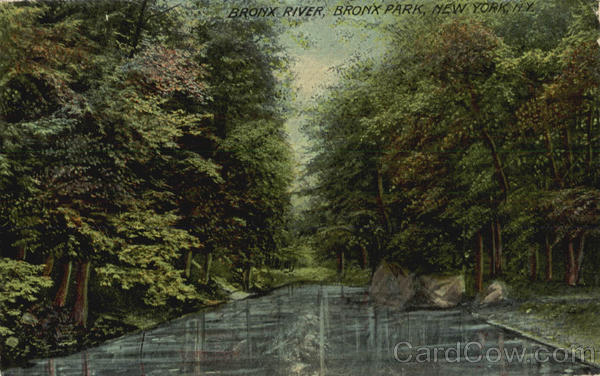 Bronx River, Bronx Park New York City