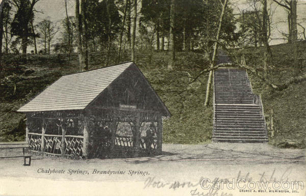 Chalybeate Springs, Brandywine Springs Marshallton Delaware