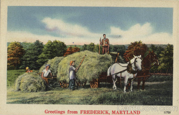 Greetings from Frederick Maryland