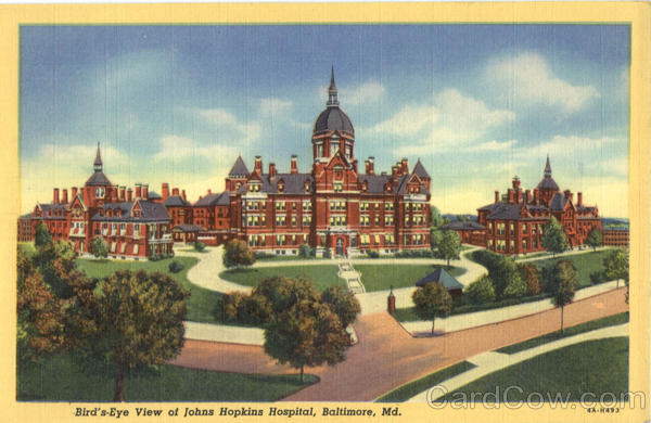 Bird's Eye View of Johns Hopkins Hospital Baltimore Maryland