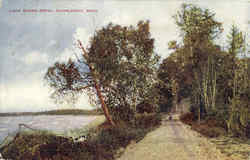 Lake Shore Drive Postcard