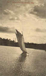 Scaling on Pine Lake Postcard