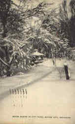 Snow Scene in City Park Postcard