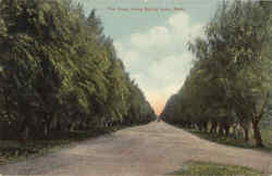 The Road along Spring Lake Postcard