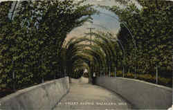 Valley Avenue Macatawa, MI Postcard Postcard