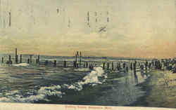 Bathing Scene Postcard