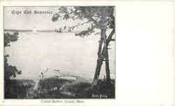 Cape Cod Souvenir Cotuit Harbor Postcard