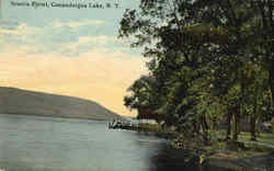 Seneca Point Postcard