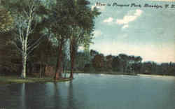 View in Prospect Park Brooklyn, NY Postcard Postcard