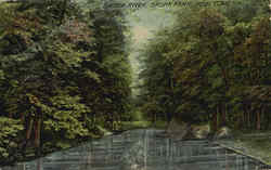 Bronx River, Bronx Park Postcard