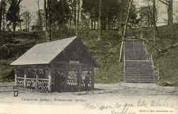 Chalybeate Springs, Brandywine Springs Postcard