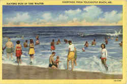 Greeting From Tolchester Beach Postcard