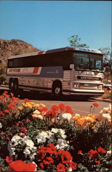 Greyhound Americruiser Bus Buses
