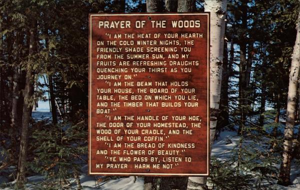 Prayer of the Woods Michigan