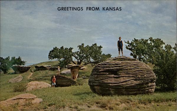 Greetings From Kansas - Mushroom Park