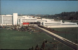 Stock #269413 Thumbnail