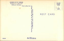 back