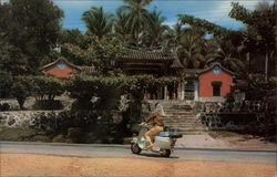 The Snake Temple Penang, Malaysia Southeast Asia Postcard Postcard