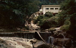 Waterfall at Botanic Garden Postcard