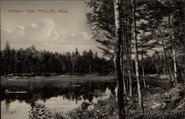 Carlton's Pond Phillips Maine H. E. Harnden