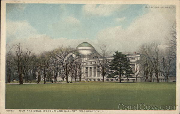 New National Museum and Gallery Washington District of Columbia