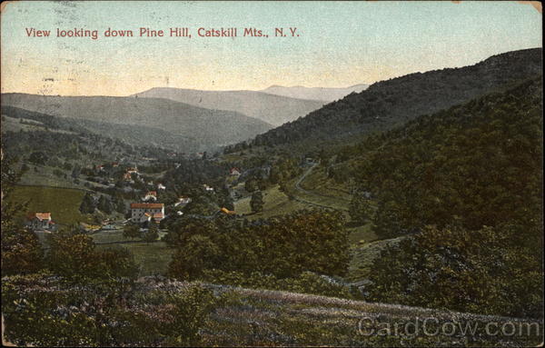 View Looking Down Pine Hill New York