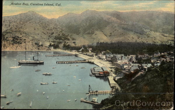 Aerial View of Avalon Bay Santa Catalina Island California