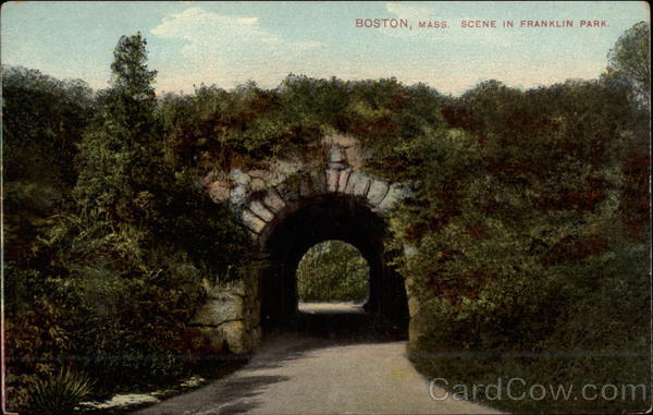 Scene in Franklin Park Boston Massachusetts