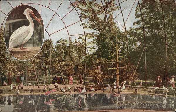 Interior of Flying Cage - Zoological Park New York