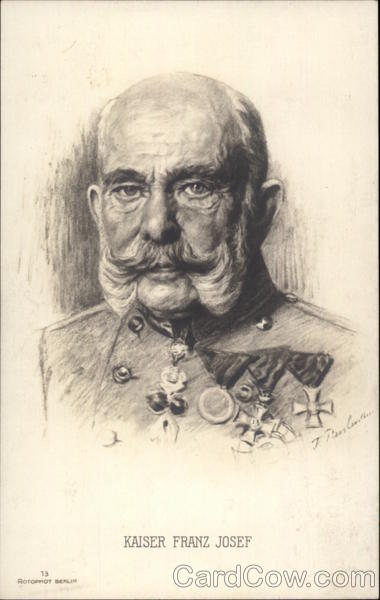 Kaiser Franz Josef Political