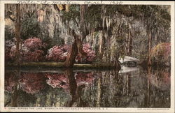 Across the Lake, Magnoila-on-the-Ashley Charleston, SC Postcard Postcard