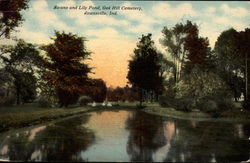 Swans and Lily Pond, Oak Hill Cemetery Evansville, IN Postcard Postcard