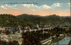 General View of State Hospital Weston, WV Postcard Postcard