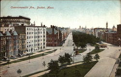 Commonwealth Avenue Postcard